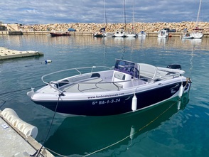 Barge Motor - Ranieri International Voyager 17