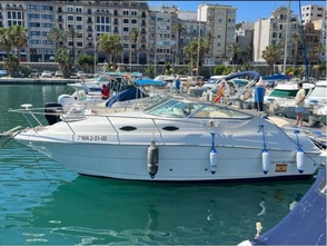 Express Cruiser - Monterey Boats 242 Cruiser