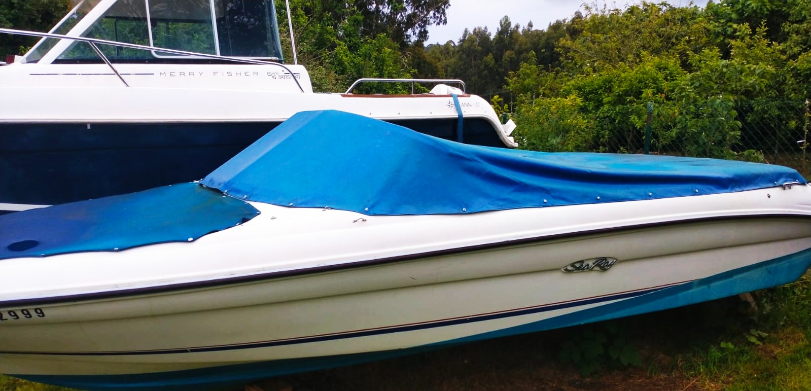 Barcaza - Sea Ray 175 BR XL