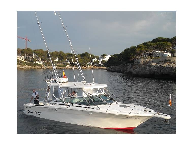 Fish and Ski - Sea Ray Sport fisher