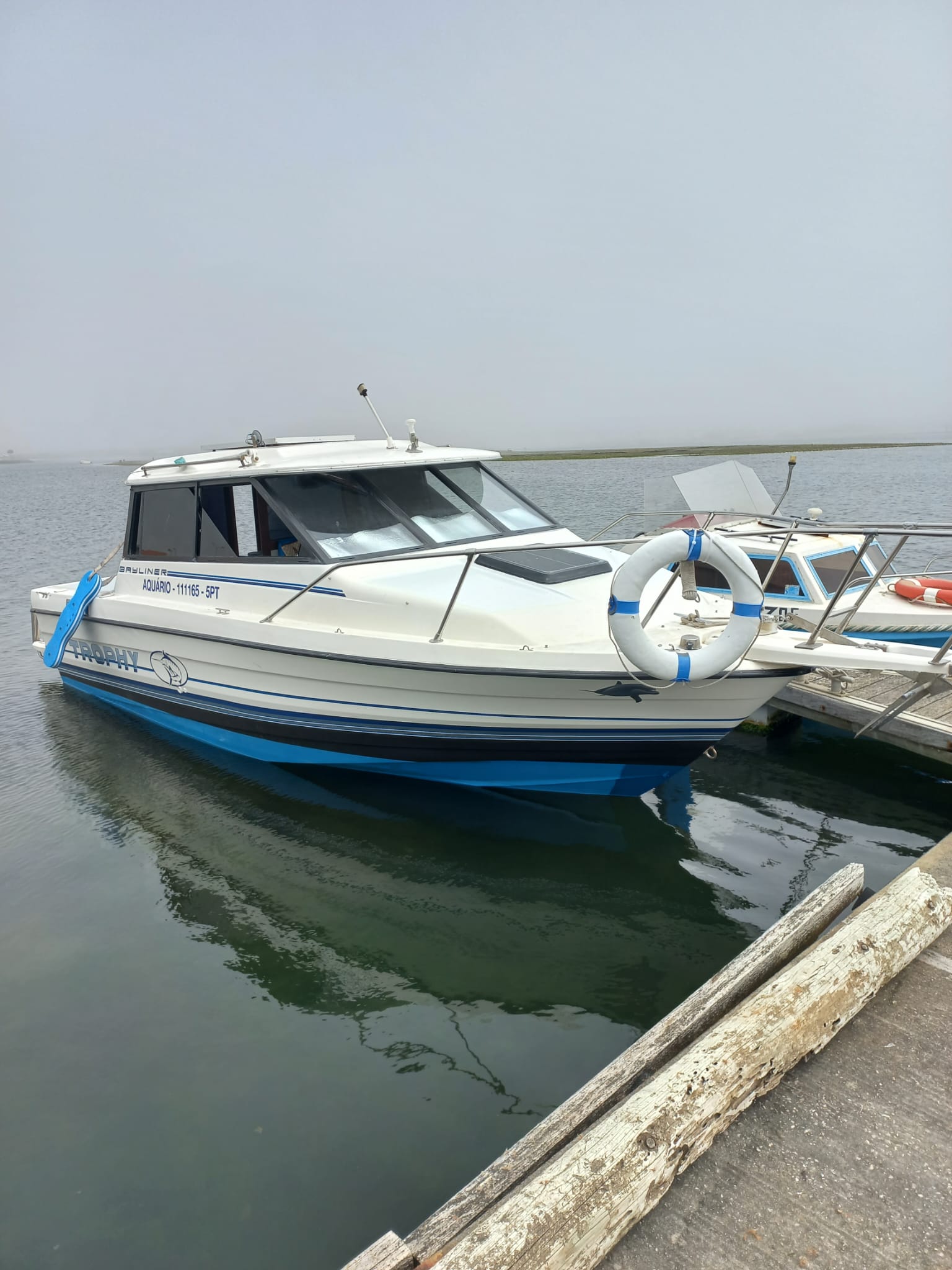 Pesca y Esquí Acuático - Bayliner Trophy