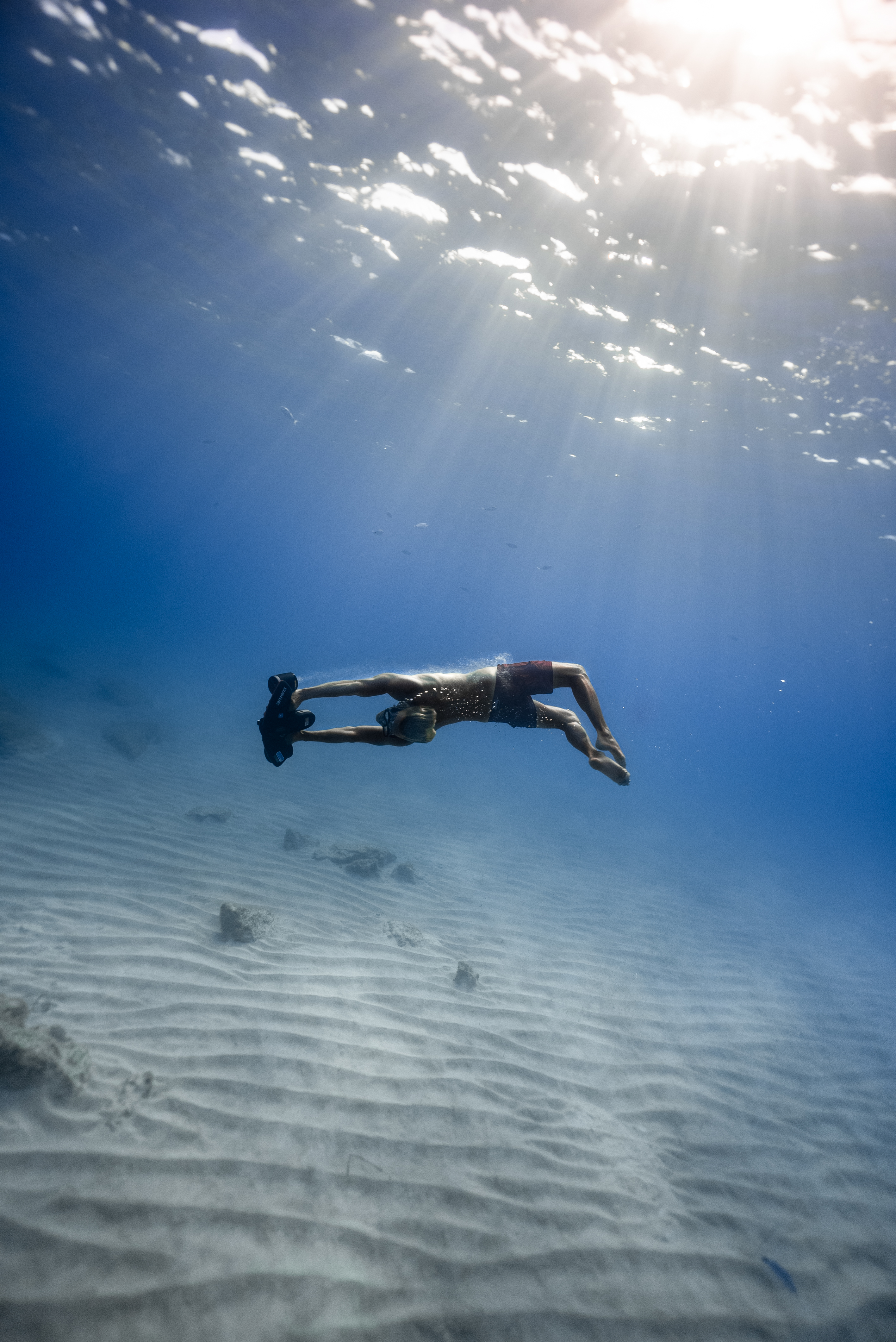 Navbow (Scuba Diving) - Navbow White Shark