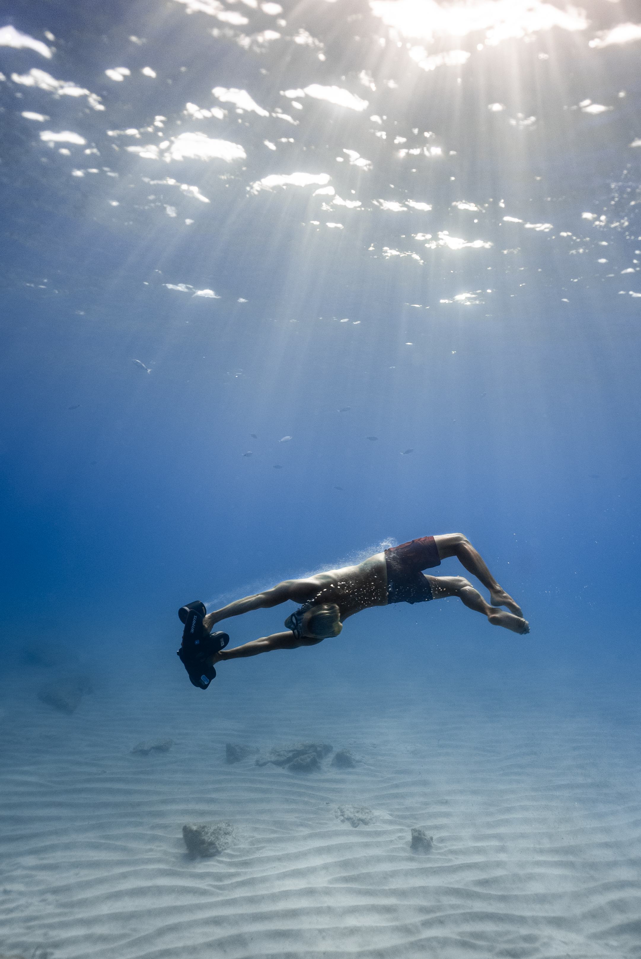 Navbow (Scuba Diving) - Navbow White Shark