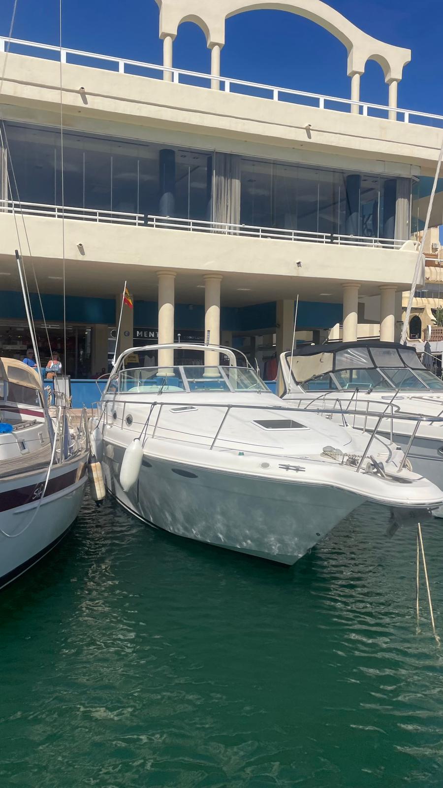 Sports Cruiser - Sea Ray Sundancer 330