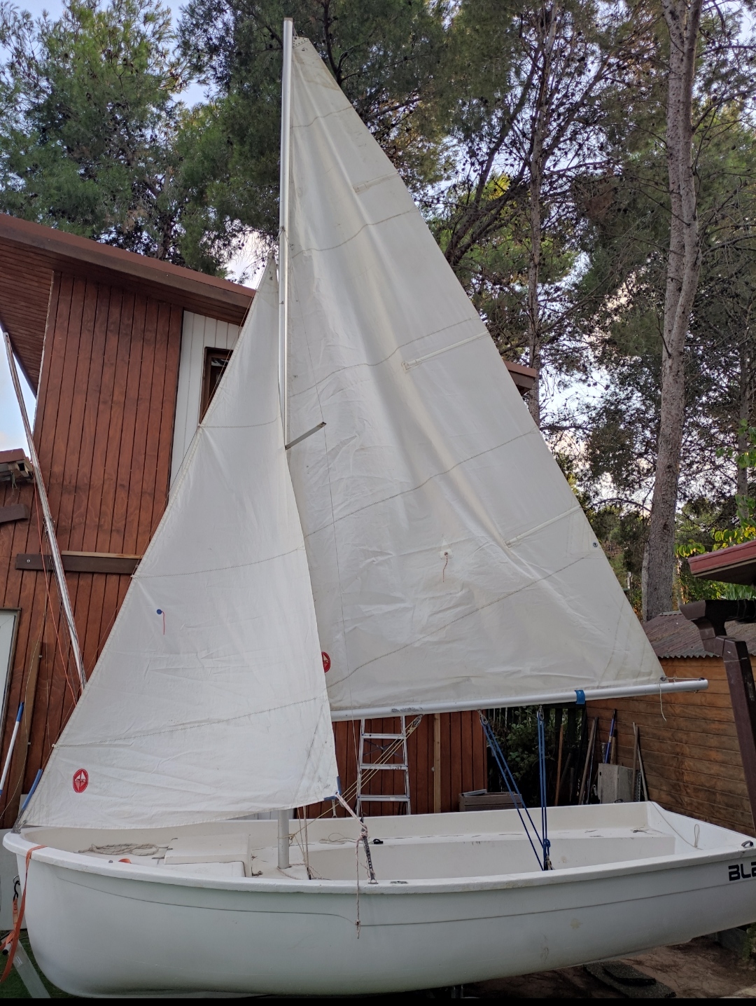 Dinghy Sailing - GAMBETA