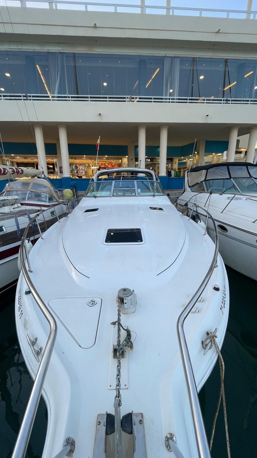 Sports Cruiser - Sea Ray Sundancer 330