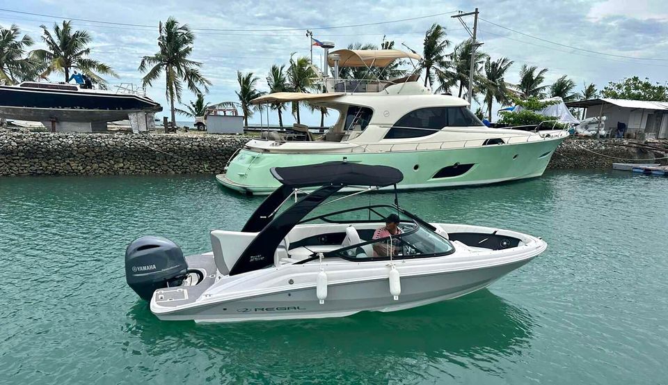 Deck Boat - Regal 21 ft obx