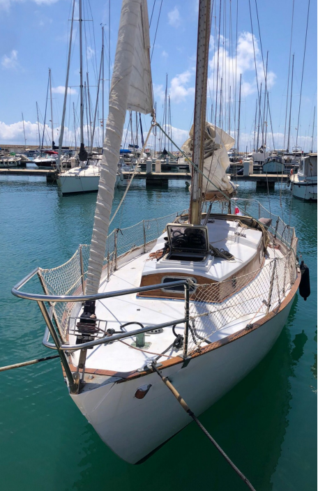 Sloop - Galea 34