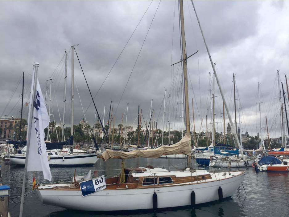 Sloop - Galea 34